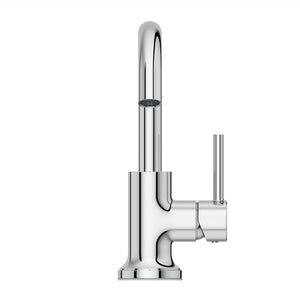 Tenet Bathroom Faucet 1-Handle Polished Chrome