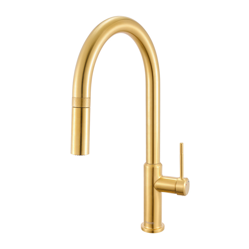 Vestia Single Handle Pull Down Kitchen Faucet with Sprayer in Brushed Gold - RVF1237SG