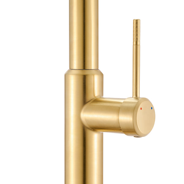 Vestia Single Handle Pull Down Kitchen Faucet with Sprayer in Brushed Gold - RVF1237SG