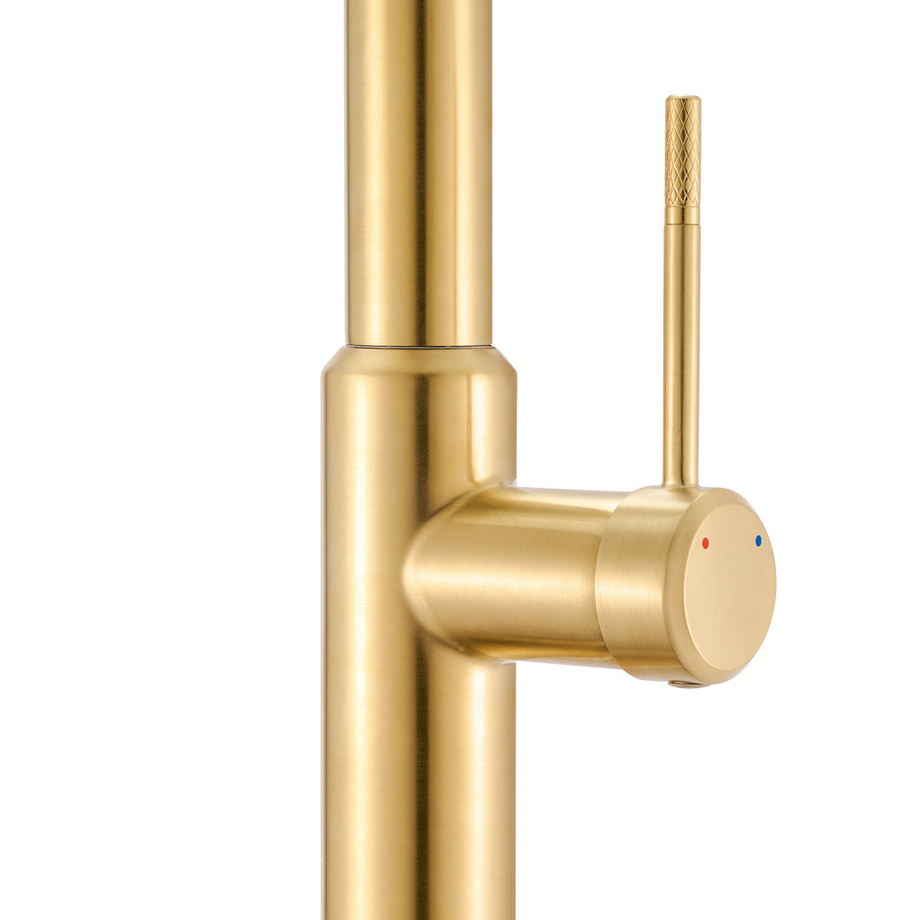 Vestia Single Handle Pull Down Kitchen Faucet with Sprayer in Brushed Gold - RVF1237SG