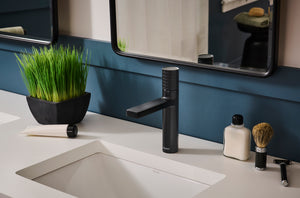 Emilio Single Handle Diamond Pattern Bathroom Faucet Round in Gunmental Black - RVF5133BL