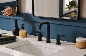 Barolo Two Handle Widespread Bathroom Faucet in Matte Black- RVF5236MB