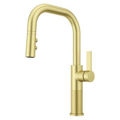 Montay 1-Handle Pull-Down Kitchen Faucet Brushed Gold