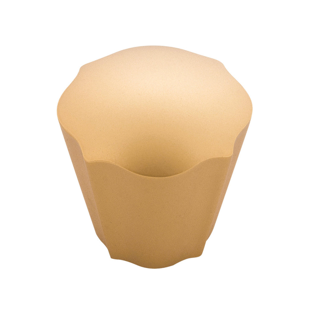 Trellis Knob 1-3/16 Inch Diameter Brushed Golden Brass