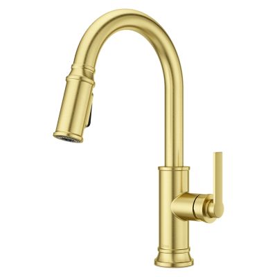 Colfax 1-Handle Pull Down Kitchen Faucet Brushed Gold