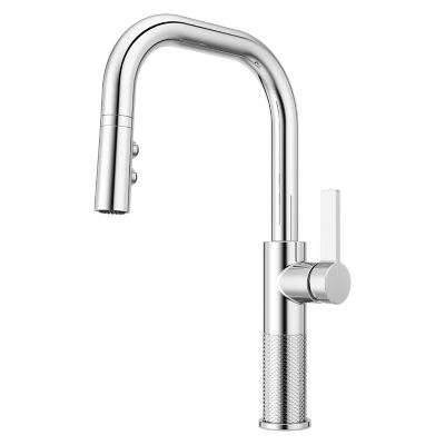 Montay 1-Handle Pull-Down Kitchen Faucet Polished Chrome