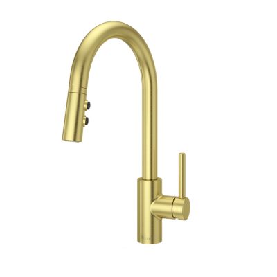 Stellen 1-Handle Pull-Down Kitchen Faucet Polished Brushed Gold