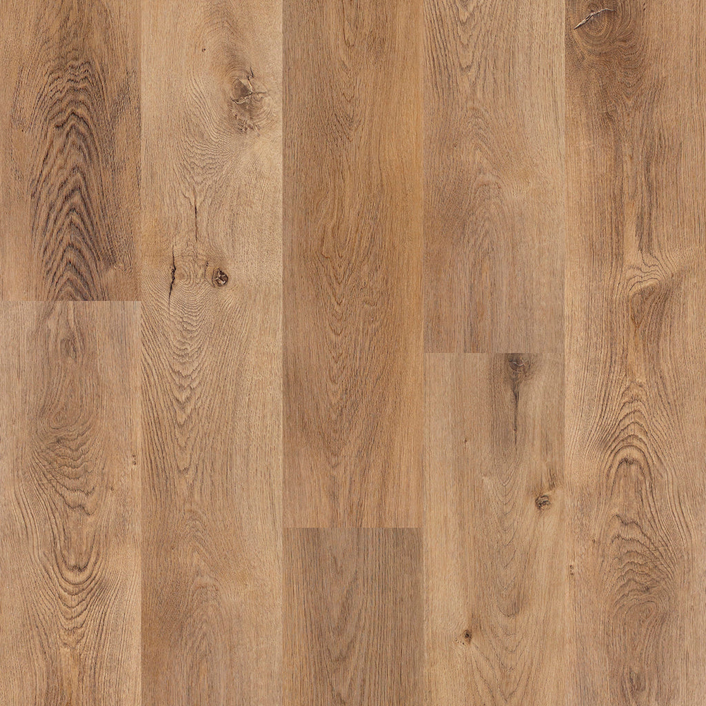 Canton Timber 4.2mm XRP